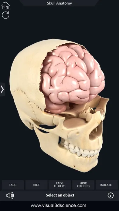 My Skull Anatomy Screenshots